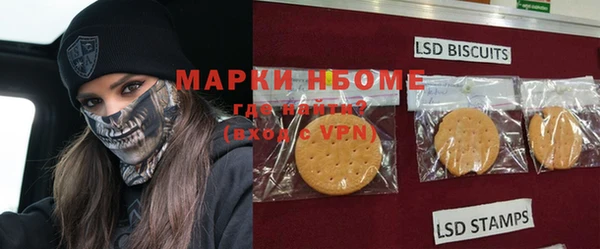ГАЛЛЮЦИНОГЕННЫЕ ГРИБЫ Абаза