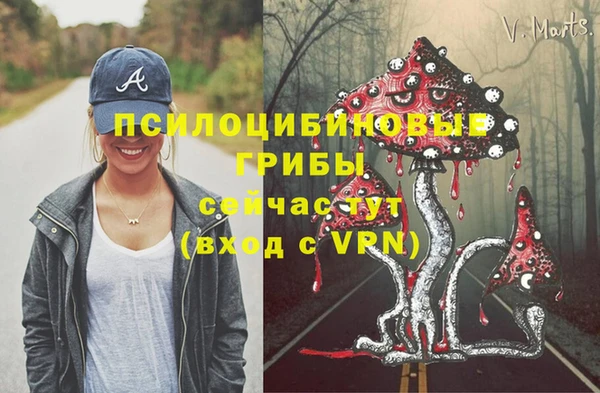 первитин Алексин