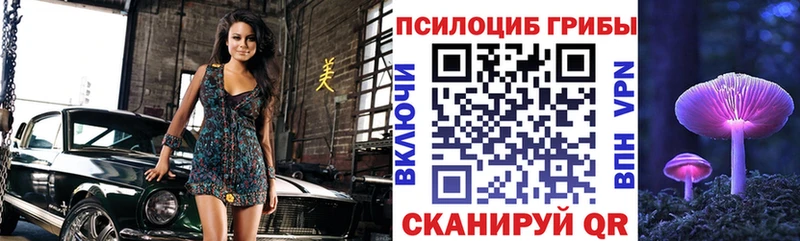 кракен ССЫЛКА  Раменское  Галлюциногенные грибы Psilocybe 