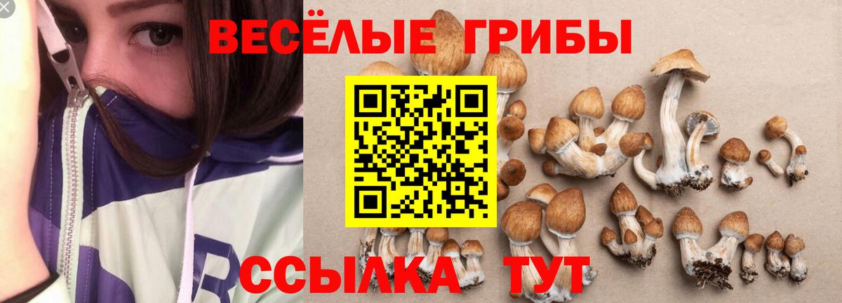 Псилоцибиновые грибы мухоморы Раменское